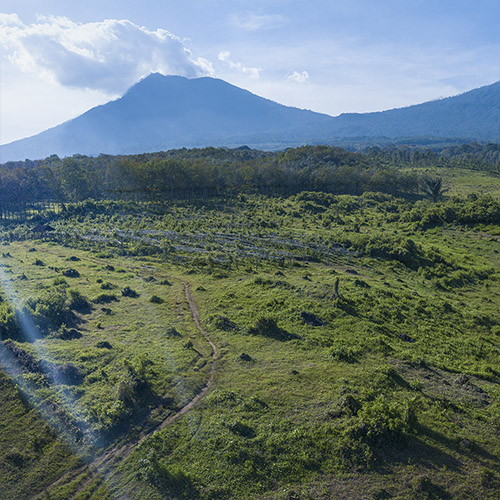 Perkebunan Kali Bendo Banyuwangi Landscape 360 photography